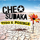 Critica del disco Tudo  possible de Che Sudaka